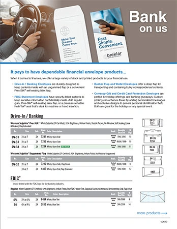 Banking Envelopes Flyer Preview