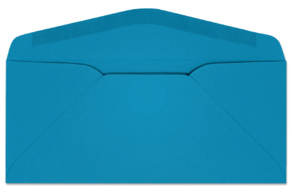 Picture of 9  24 BLUE STARBURST® REGULAR