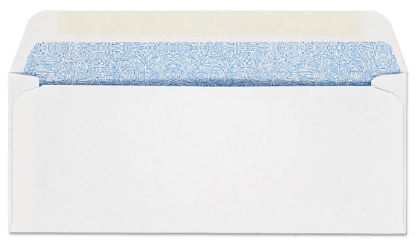 Picture of 3-9/16 X 8-3/4 24  ACCOUNTING SOFTWARE WINDOW