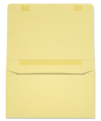 Picture of 4-1/4 X 6-1/2  24  PRISM® CANARY DUAL PURPOSE