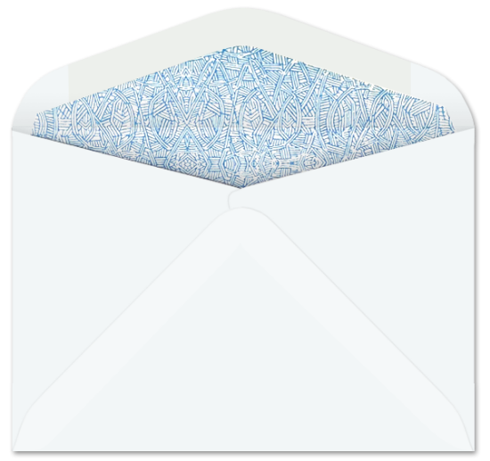 Picture of 4-1/2 X 6-1/2  24 STYLE 'B' PROFESSIONAL STATEMENT