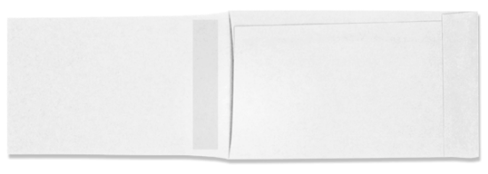 Picture of 3-5/8 X 6  28 VELPINE®  PARKING TICKET