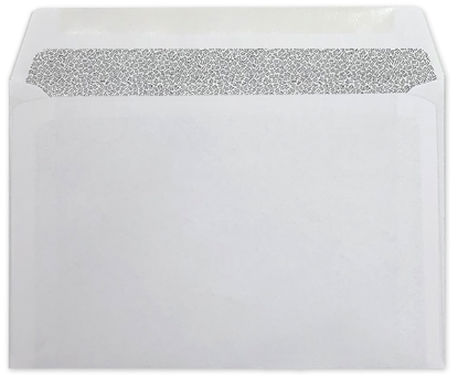 Picture of 6 X 9  24  DIGI-CLEAR® Booklet  WINDOW CONFETTI TINT