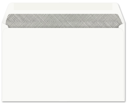 Picture of 6 X 9  24 DIGI-M® Booklet WINDOW W/TINT