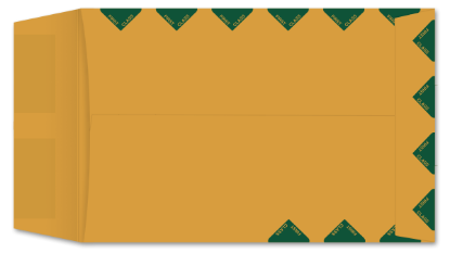 Picture of 6 X 9   28 ROPTEX® FIRST CLASS GREEN BORDER Catalog