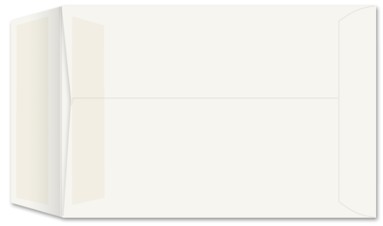 Picture of 6-1/2 X 9-1/2  28 WESTERN SULPHITE®  WITH PRES-STIK®  Catalog