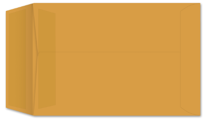 Picture of 6-1/2 X 9-1/2  28 ROPTEX® WITH PRES-STIK® Catalog-BULK