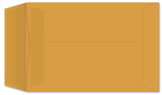 Picture of 6-1/2 X 9-1/2  28 ROPTEX® WITH PRES-STIK® Catalog-BULK