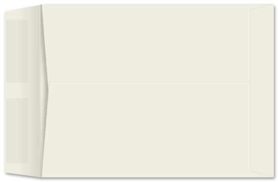 Picture of 8-1/4 X 11-1/4  28 WESTERN SULPHITE® Catalog