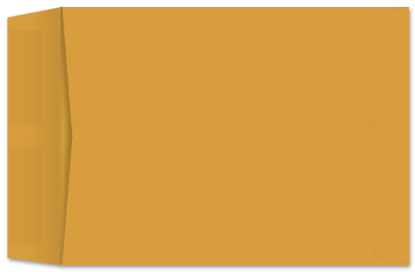 Picture of 8-1/4 X 11-1/4  28 ROPTEX® Catalog