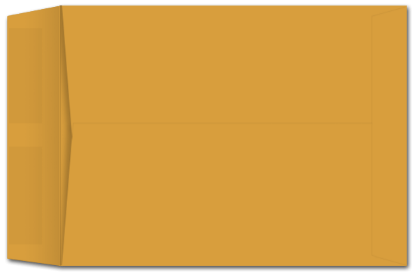 Picture of 8-3/4 X 11-1/2  24 ROPTEX® Catalog