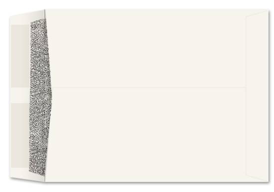 Picture of 9 X 11-1/2  28 WESTERN SULPHITE® Catalog POLY WINDOW BLACK WESCO TINT