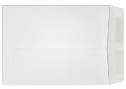 Picture of 9 X 11-1/2  28 DIGI-CLEAR® Catalog DIGI-CLEAR® WINDOW