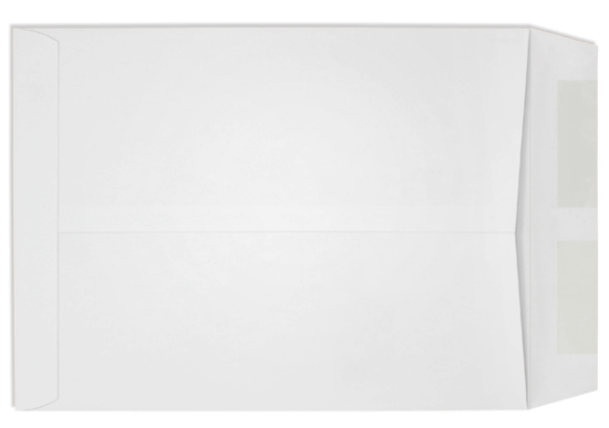 Picture of 9 X 11-1/2  28 DIGI-CLEAR® Catalog DIGI-CLEAR® WINDOW