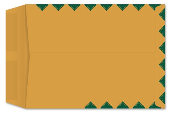 Picture of 9 X 12 28 ROPTEX Catalog GREEN FIRST CLASS BORDER