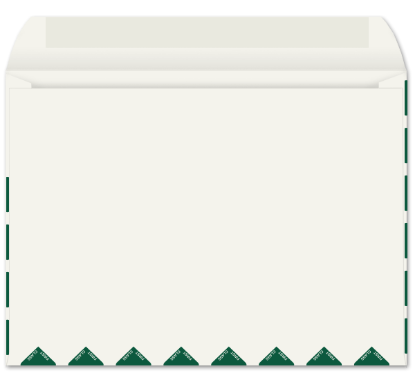 Picture of 9 X 12 28 WESTERN SULPHITE® Booklet W/FIRST CLASS BORDER