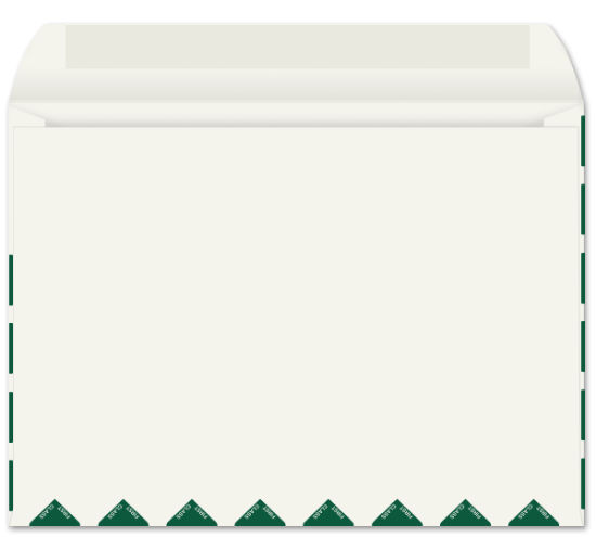 Picture of 9 X 12 28 WESTERN SULPHITE® Booklet W/FIRST CLASS BORDER