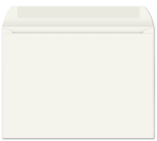 Picture of 9 X 12  28 WESERN SULPHITE® Booklet - 2" FLAP