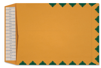 Picture of 9 X 12  28 ROPTEX® Catalog KWIK-TAK® & FIRST CLASS BORDER