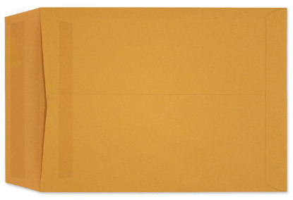 Picture of 9 X 12  28 ROPTEX® Catalog W/PRESS-STIK®