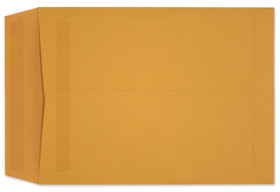 Picture of 9 X 12  28 ROPTEX® Catalog W/PRESS-STIK®