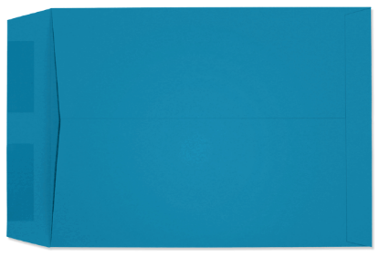 Picture of 9 X 12  28  STARBURST® BLUE Catalog