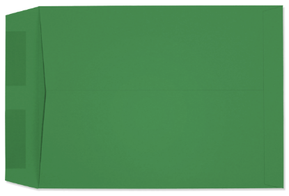 Picture of 9 X 12  28  STARBURST® GREEN Catalog