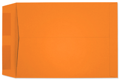 Picture of 9 X 12  28  STARBURST® TANGERINE Catalog