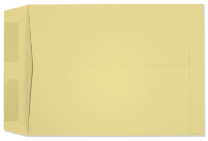 Picture of 9 X 12  28  PRISM® CANARY Catalog