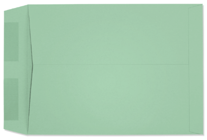 Picture of 9 X 12  28 PRISM® GREEN Catalog