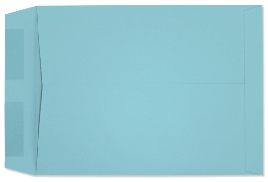 Picture of 9 X 12  28 PRISM® BLUE Catalog