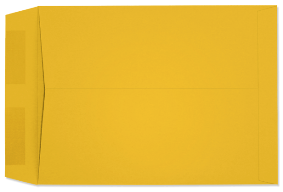 Picture of 9 X 12  28 STARBURST® YELLOW Catalog