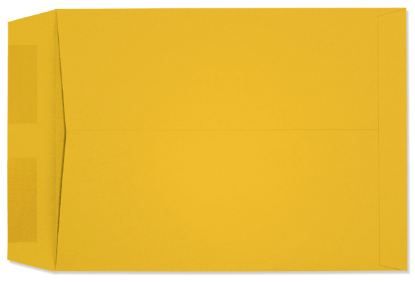 Picture of 9 X 12  28 STARBURST® YELLOW Catalog