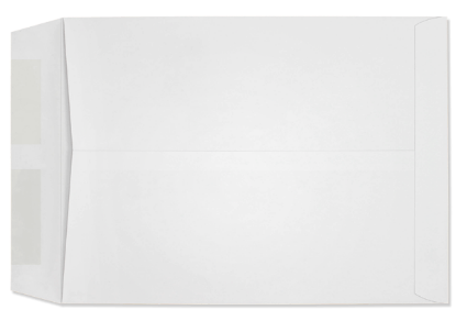 Picture of 9 X 12  28 DIGI-C® Catalog DIGI-CLEAR®  WINDOW