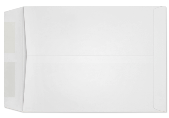 Picture of 9 X 12  28 DIGI-C® Catalog DIGI-CLEAR®  WINDOW