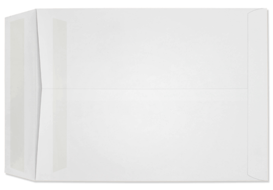 Picture of 9 X 12  28 WESTERN SULPHITE®  Catalog W/PRES-STIK®