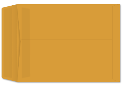 Picture of 9-1/2 X 12-1/2  28 ROPTEX® Catalog W/ PRES-STIK®