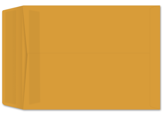 Picture of 9-1/2 X 12-1/2  28 ROPTEX® Catalog W/ PRES-STIK®