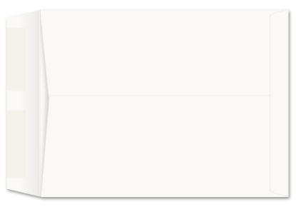 Picture of 9-1/2 X 12-1/2 28 WESTERN SULPHITE® Catalog