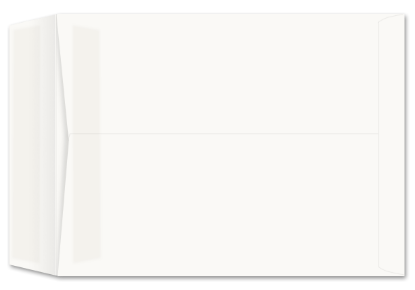 Picture of 9-1/2 X 12-1/2 28 WESTERN SULPHITE®  Catalog  W/PRES-STIK®