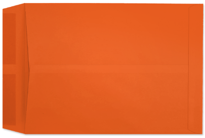Picture of 10 X 13  28  STARBURST® ORANGE Catalog