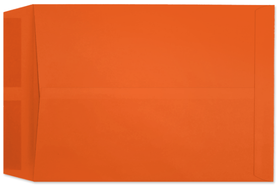 Picture of 10 X 13  28  STARBURST® ORANGE Catalog