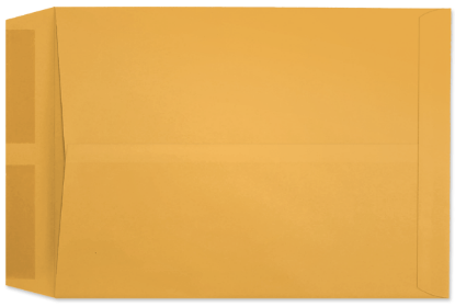 Picture of 10 X 13  24 ROPTEX® Catalog  -BULK