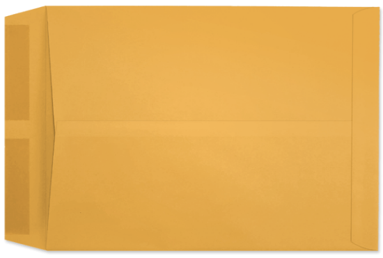 Picture of 10 X 13  24 ROPTEX® Catalog  -BULK