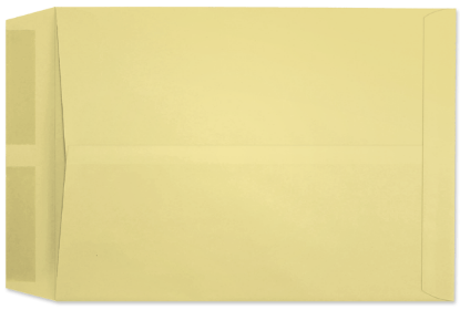 Picture of 10 X 13  28 PRISM® CANARY Catalog