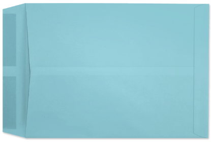 Picture of 10 X 13  28  PRISM® BLUE Catalog