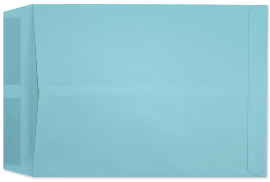 Picture of 10 X 13  28  PRISM® BLUE Catalog