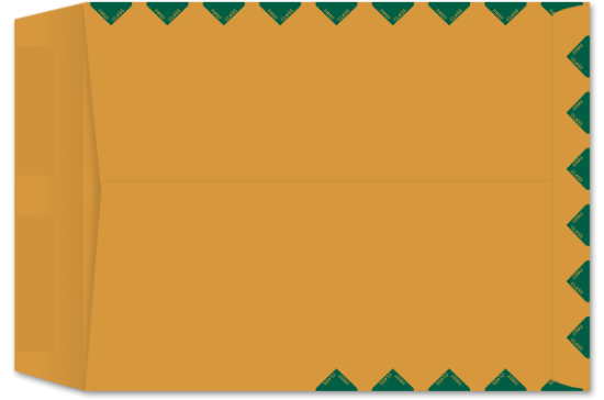 Picture of 10 X 13  28 ROPTEX® Catalog FIRST CLASS GREEN BORDER