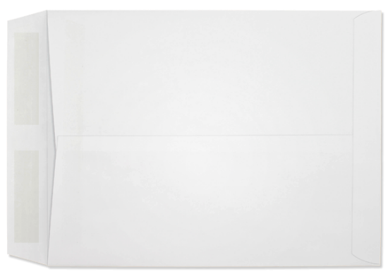 Picture of 10 X 13  28 WESTERN SULPHITE® Catalog