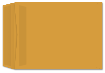 Picture of 10 X 13  28 ROPTEX® Catalog W/PRES-STIK®